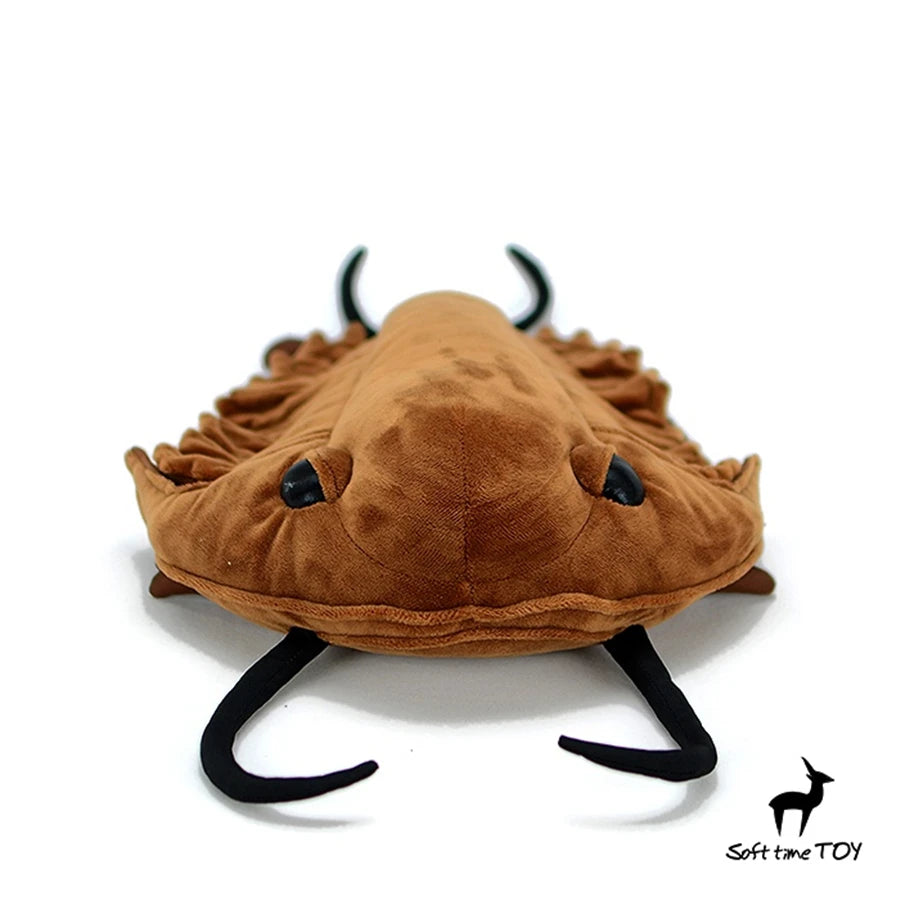 Trilobite High Fidelity Anime Redlichia Plushie