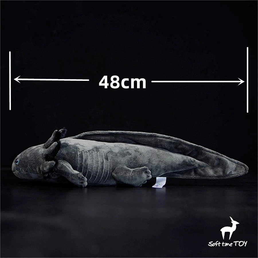image_0